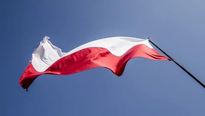 Polacy na Litwie potwierdzą swoją narodowość. Zaplanowano sporządzenie powszechnego spisu ludności 