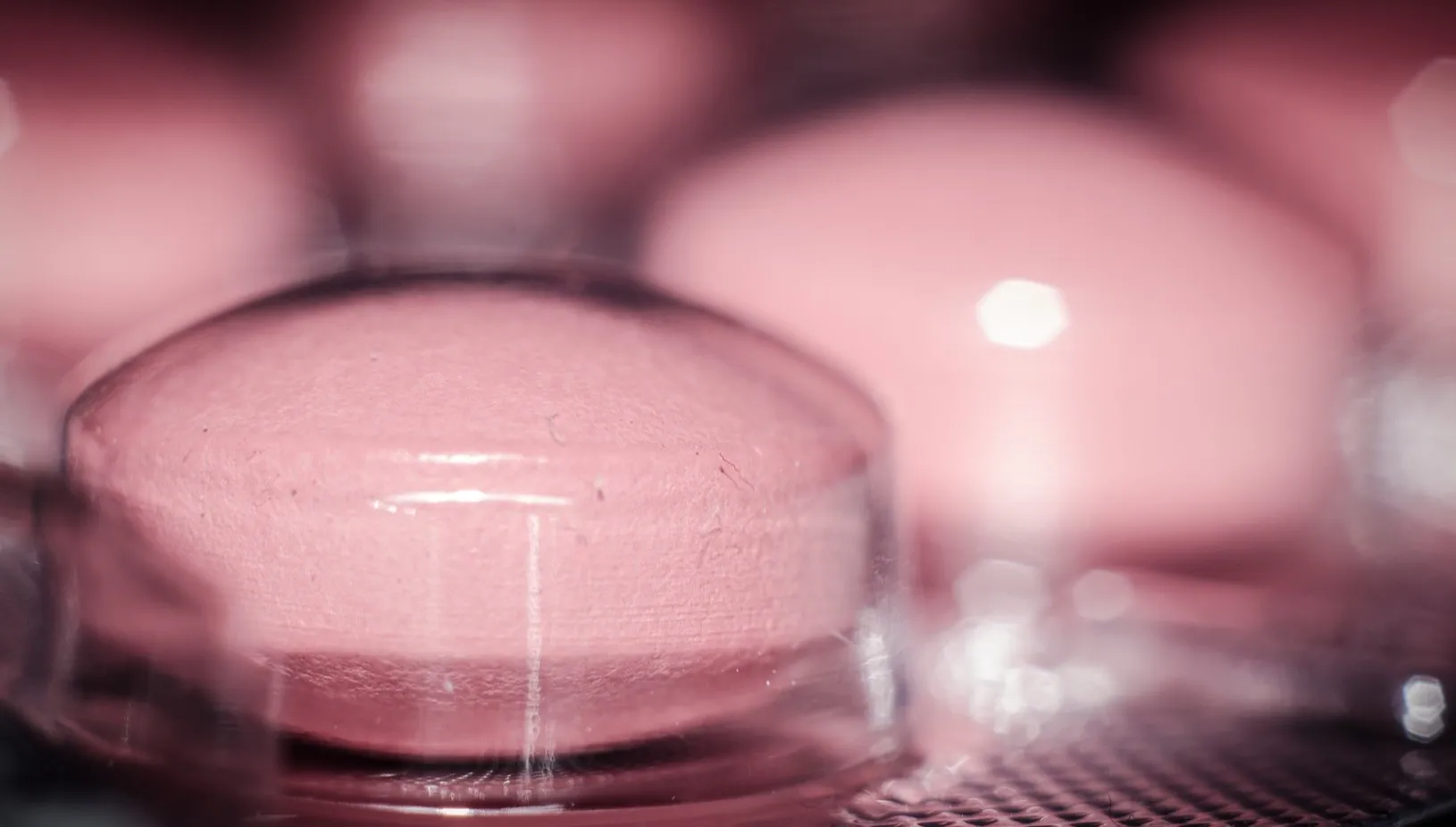 Lewica przedstawia priorytety legislacyjne. Wśród najważniejszych - aborcja i tabletki "dzień po"