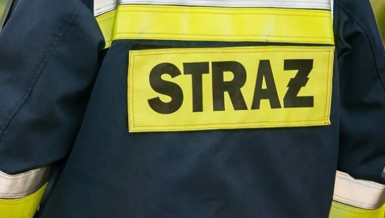 Zwłoki w spalonej altance