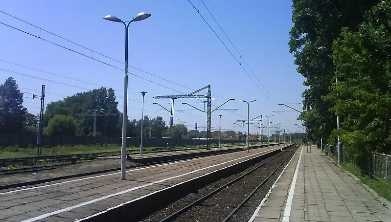 Przed Łowiczem wykoleiły się dwa wagony