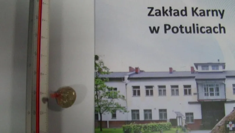 Przemycała narkotyki w miejscu intymnym