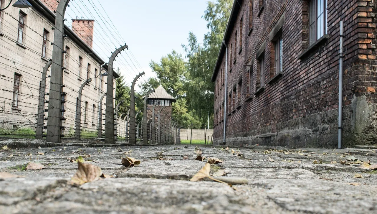 Muzeum Auschwitz: naprawiono wieżę wartowniczą
