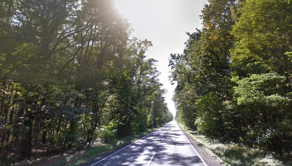 Koło Wielunia auto uderzyło w drzewo