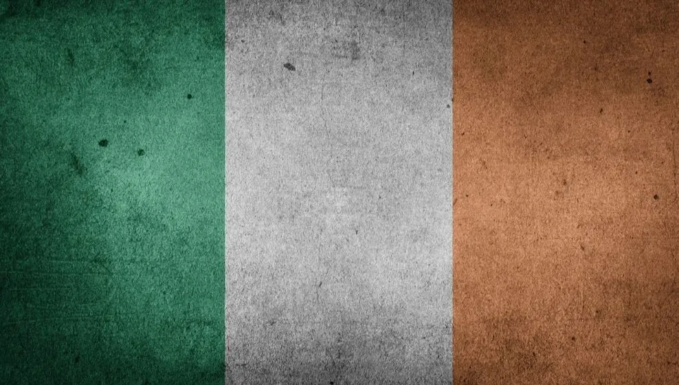 Irlandia wybiera parlament