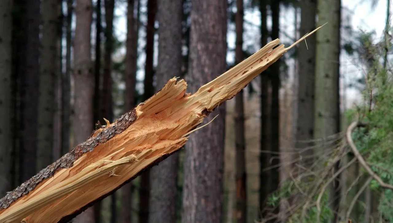 Bez prądu pozostaje 6 645 odbiorców