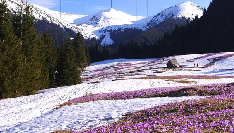 Tatry: uruchomiono wyciąg w Kotle Goryczkowym