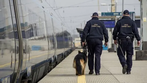 Szczecin: "sokista" zaatakowany nożem