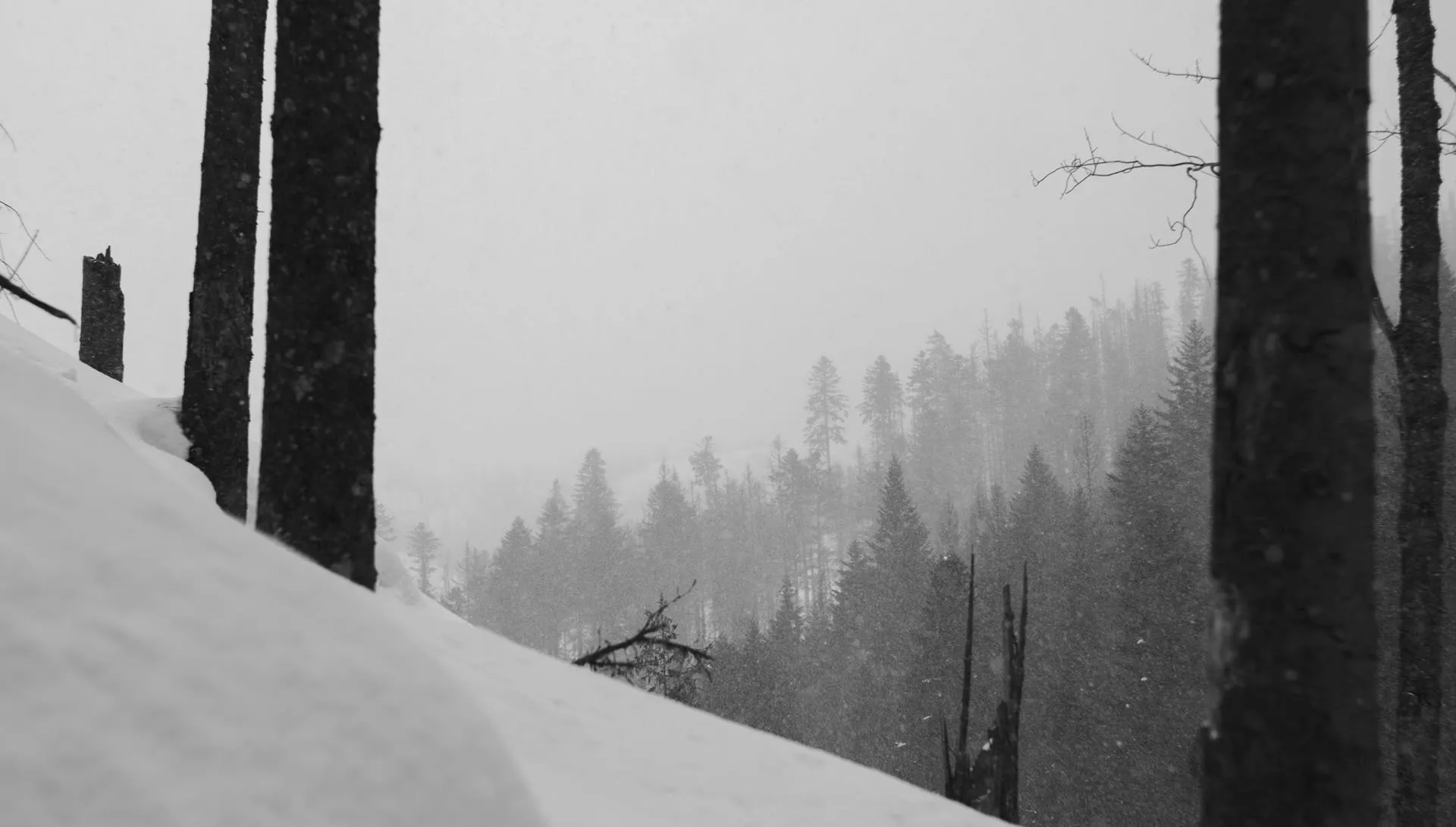 Porywy wiatru, nieprzetarte szlaki i zła widoczność. Ratownicy odradzają wyjść w Tatry i Bieszczady