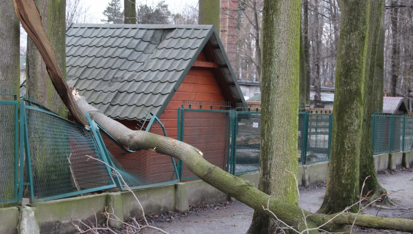 Wiatr wyrządził szkody w zabytkowym parku Habsburgów