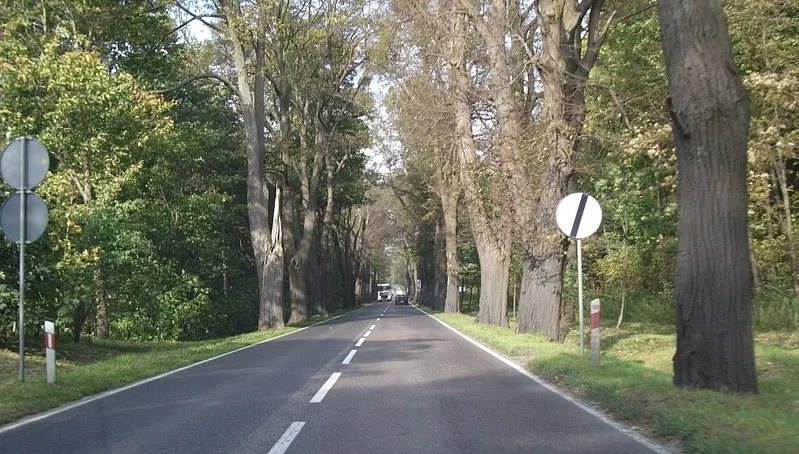 Droga koło Grudziądza przejezdna