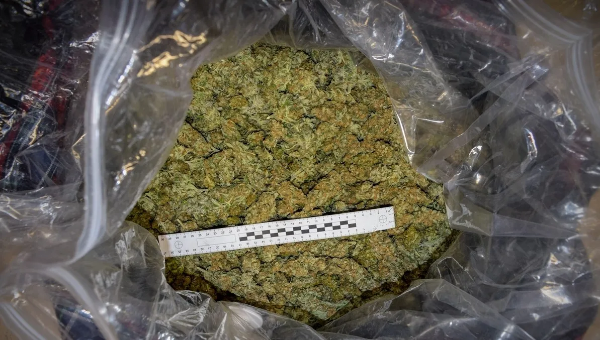 Słowak miał w bagażniku 18 kg marihuany
