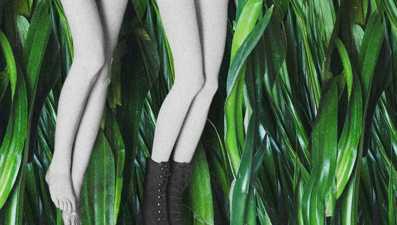  "Piknik pod Wiszącą Skałą" w Teatrze Współczesnym