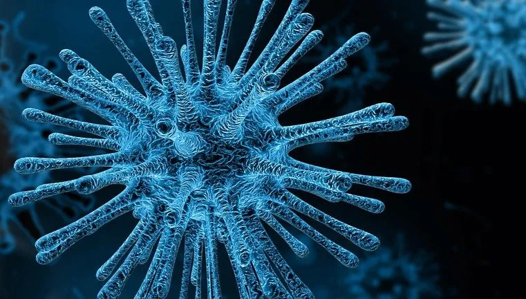 Erytrea: Pierwszy przypadek koronawirusa
