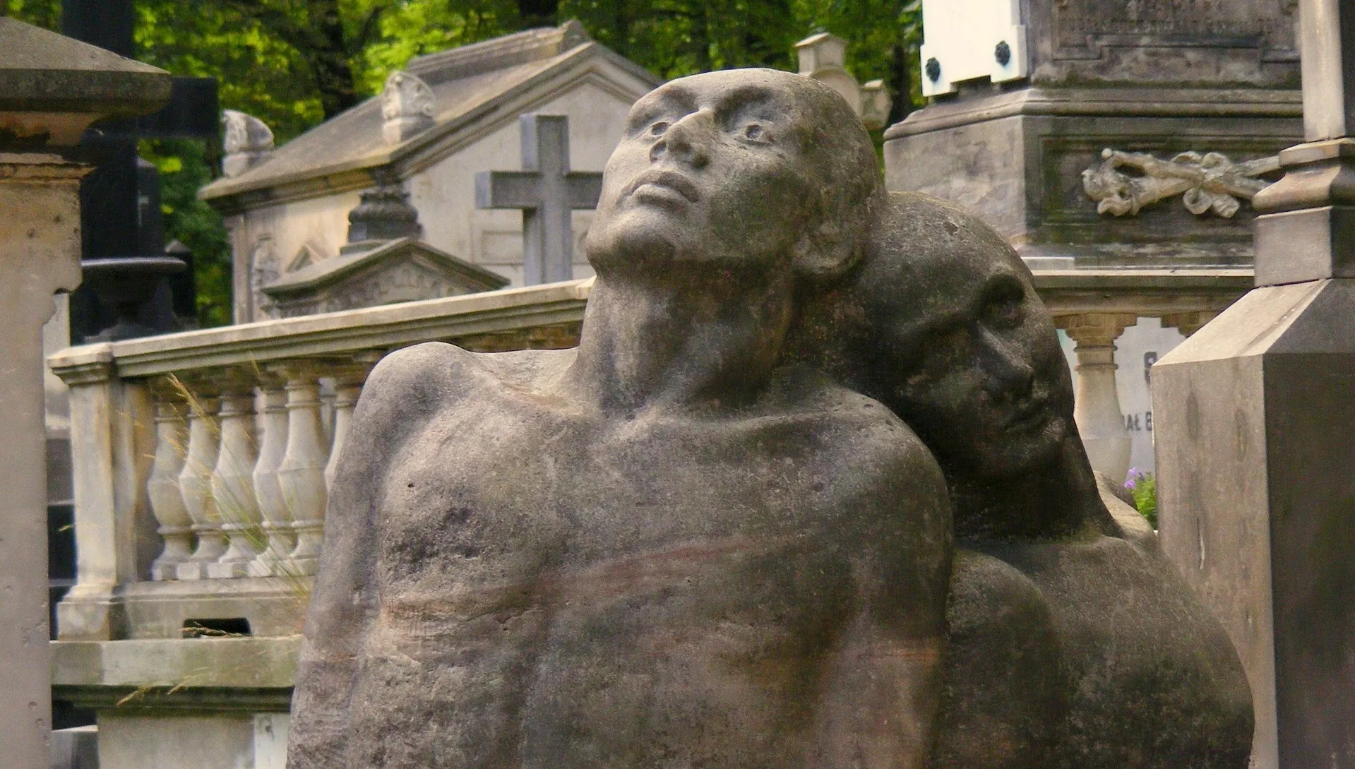 zdjęcie ilustracyjne 