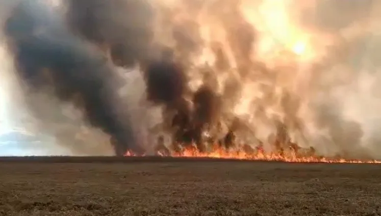 Woś zapowiada inwentaryzację po pożarze