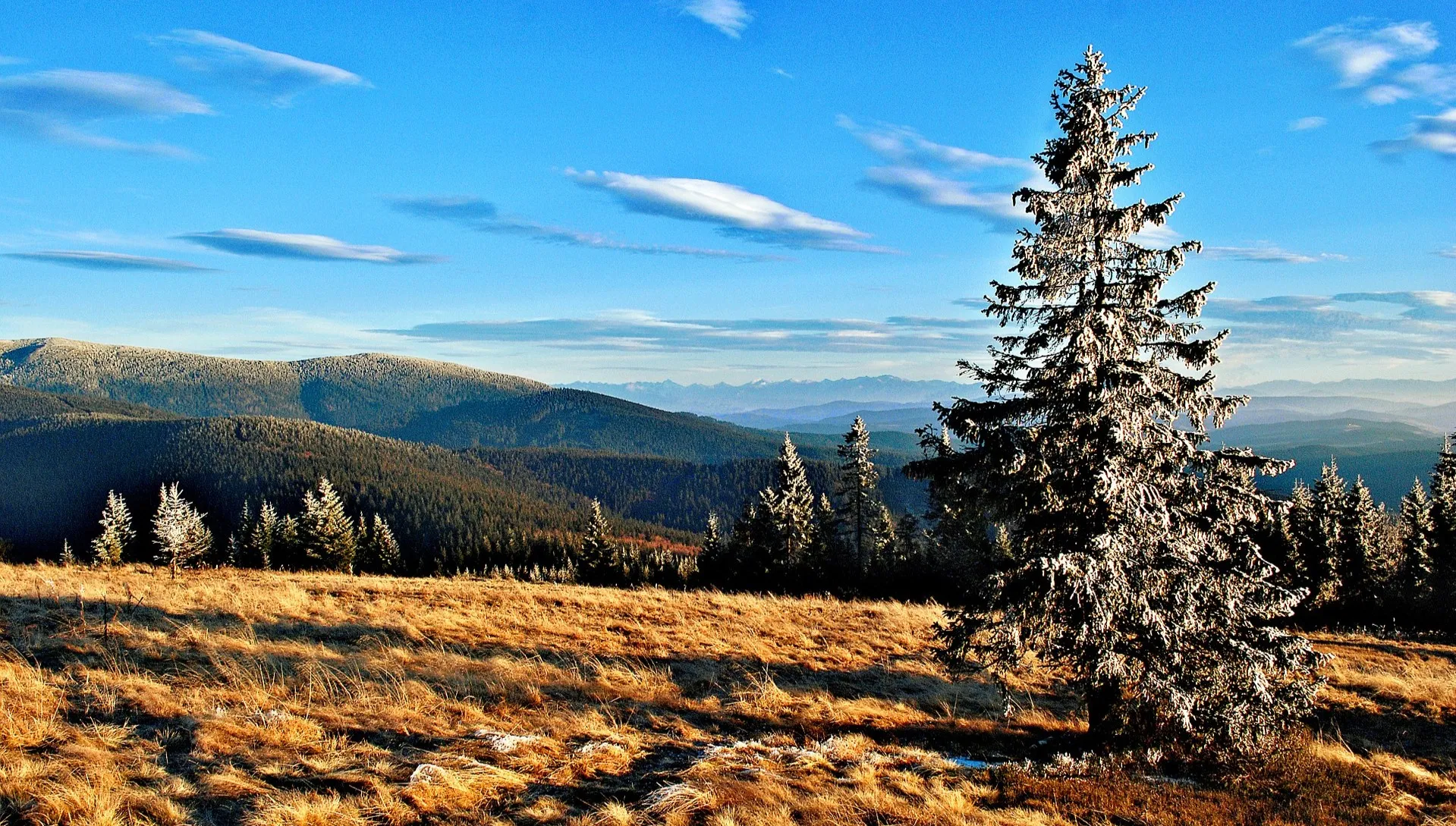 Śnieg i zagrożenie lawinowe w Tatrach