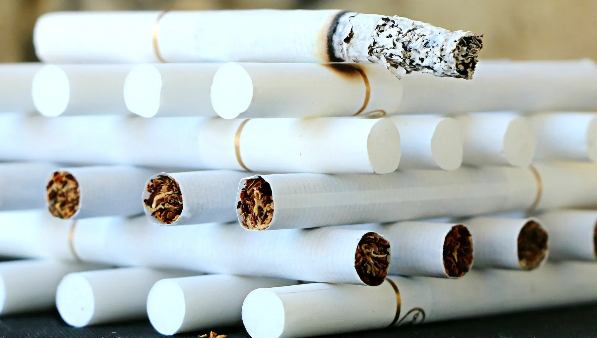 Nielegalny tytoń porzucony w lesie