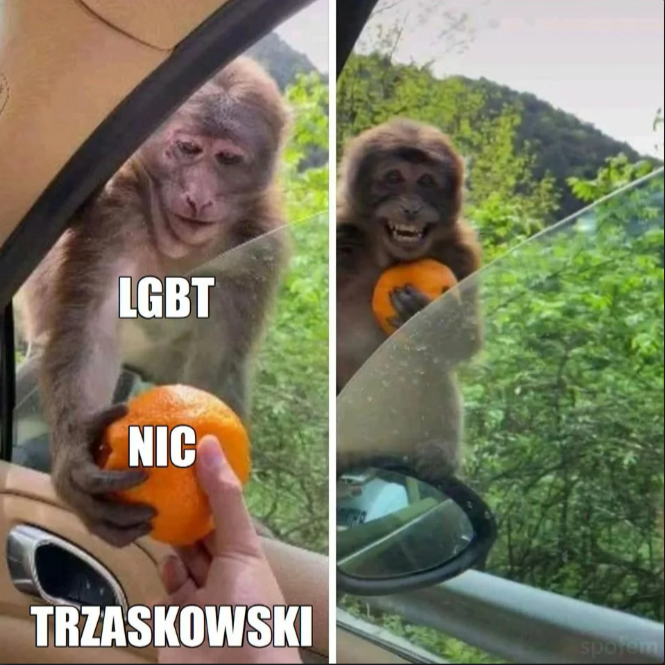 Coś Ci dam...