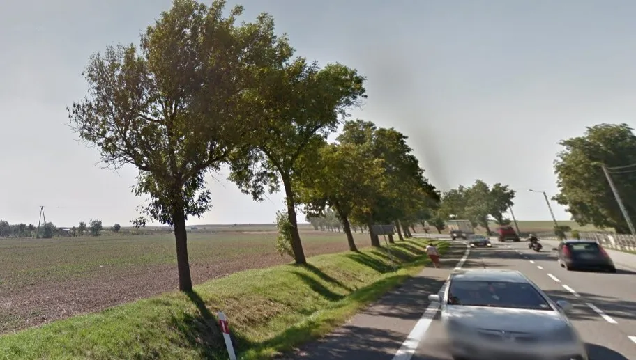 Ciężarówka uderzyła w drzewo. Zginął kierowca