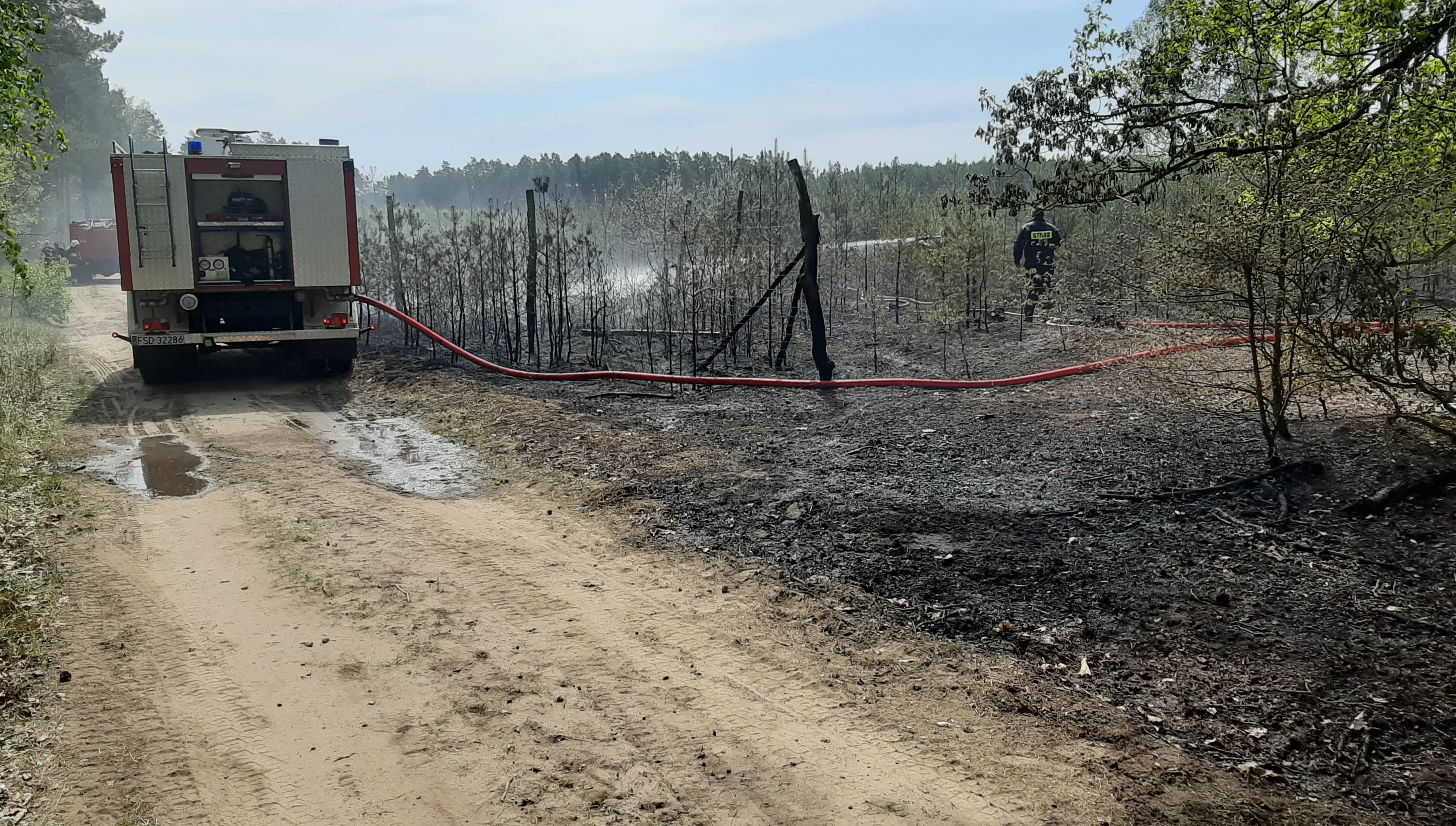 Nagrody za informacje o podpaleniach lasów