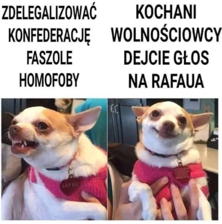 Po pierwszej turze...