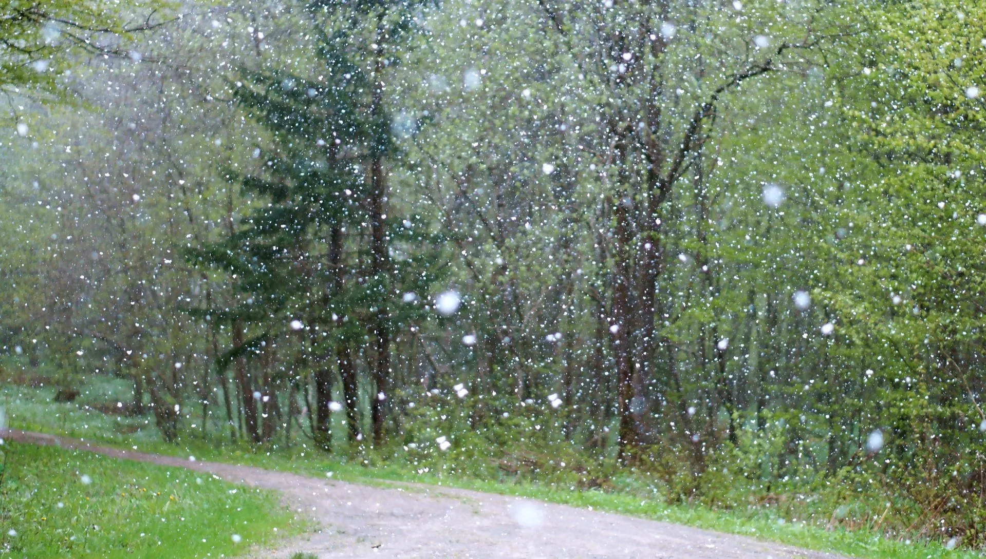 Burze z gradem na południu Polski