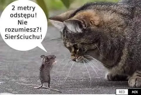 Odstęp proszę