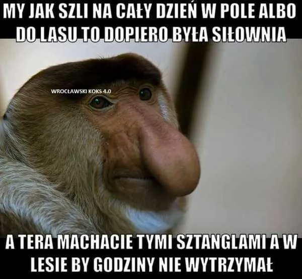Siłownia na polu