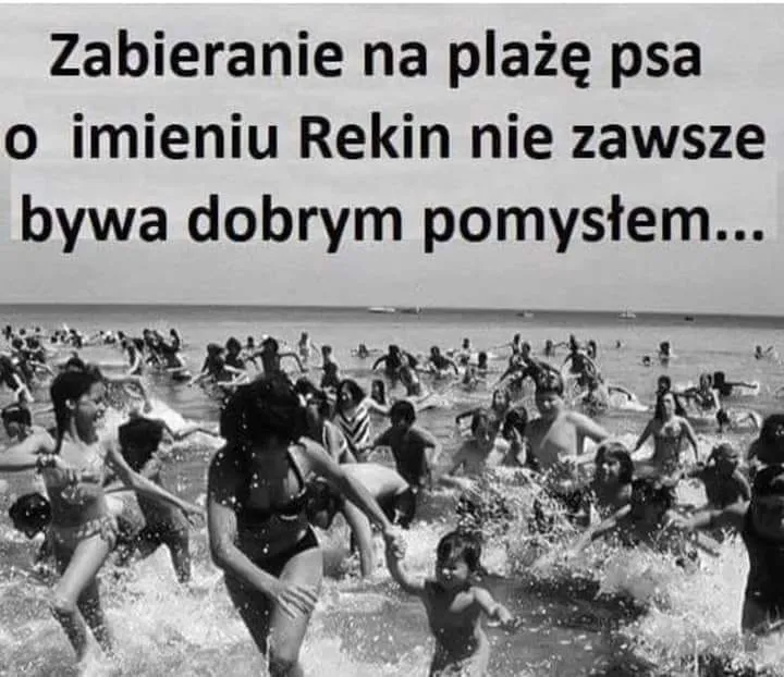 Rekin na plaży