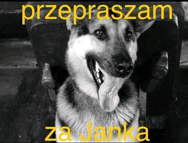 Szarik wstydzi się za Janka