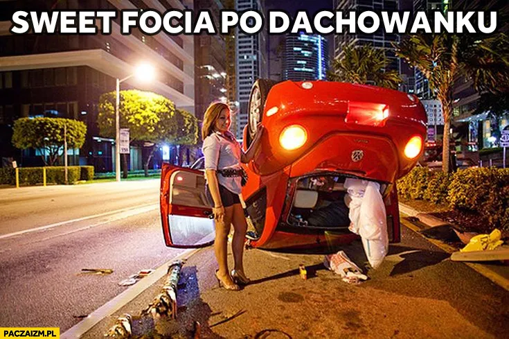 Sweet focia po dachowanku