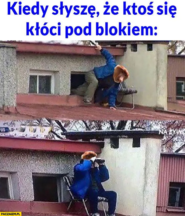 Straż sąsiedzka