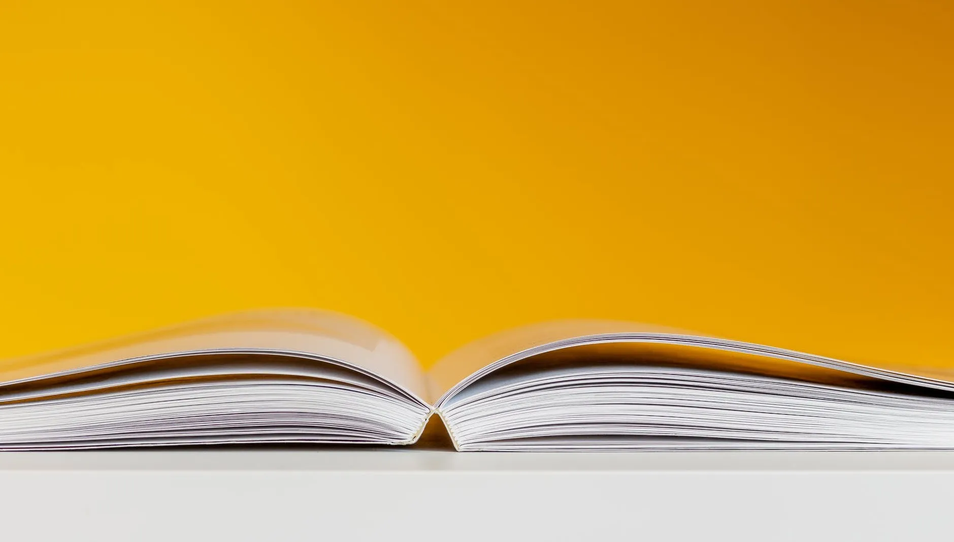Przed nami Europejska Noc Literatury