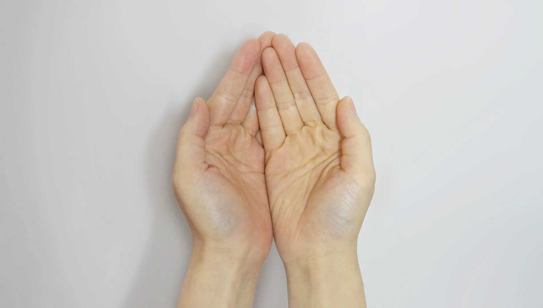 Sformalizowano współpracę WOT z Caritas