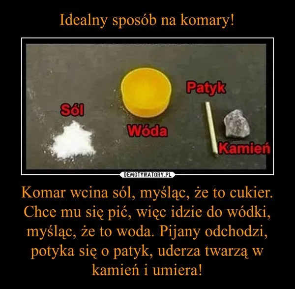 Idealny sposób na komary?