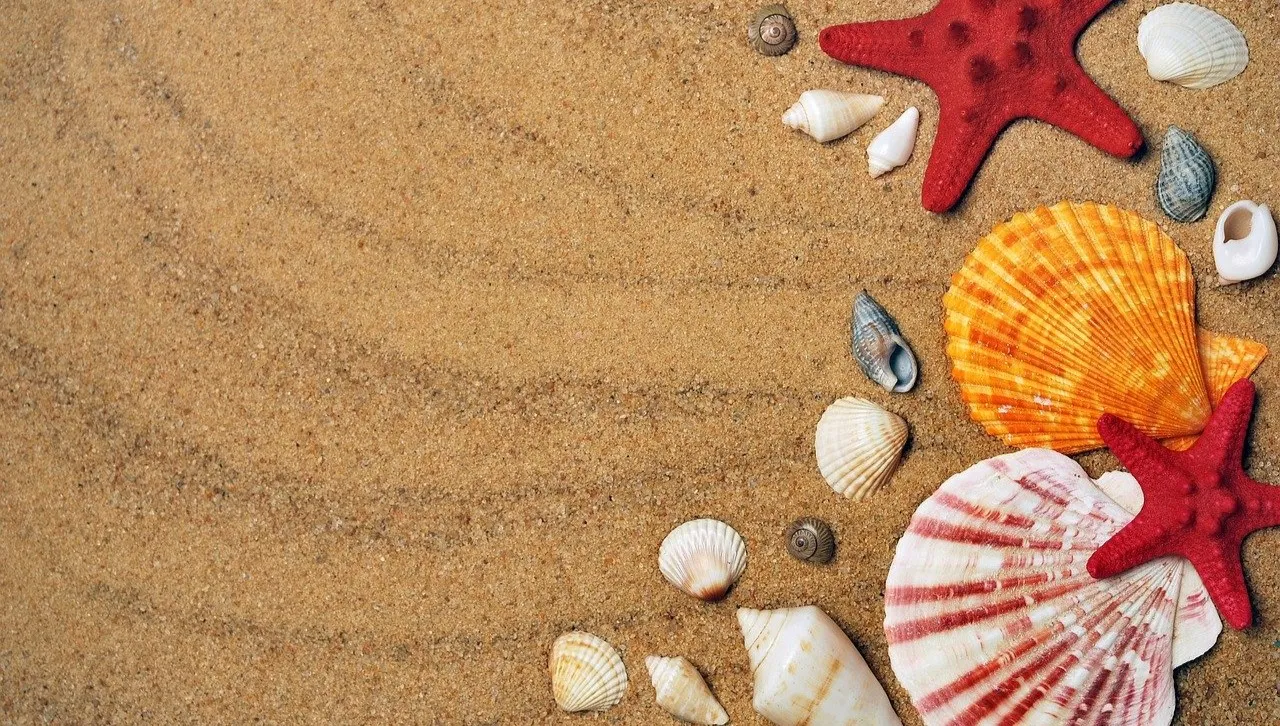 Turyści przechodzą samych siebie! Z plaż na Sardynii znika piasek, odnajduje się... na lotniskach