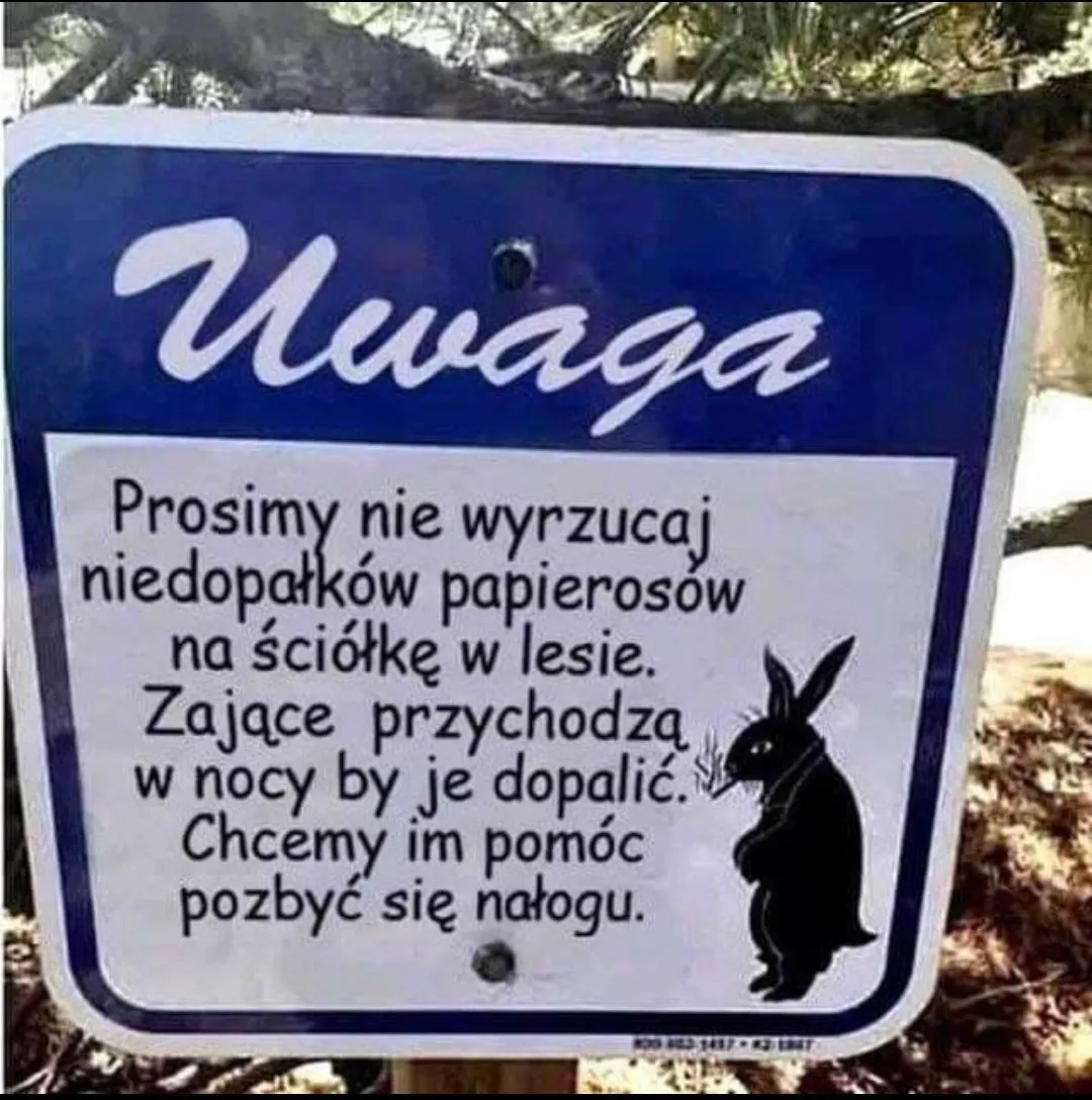 Zające z nałogiem