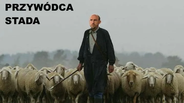 Przywódca stada