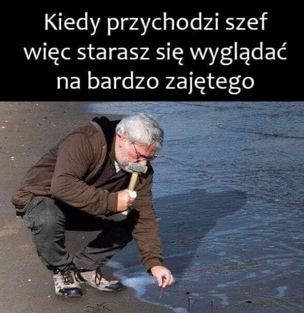 Praca wre