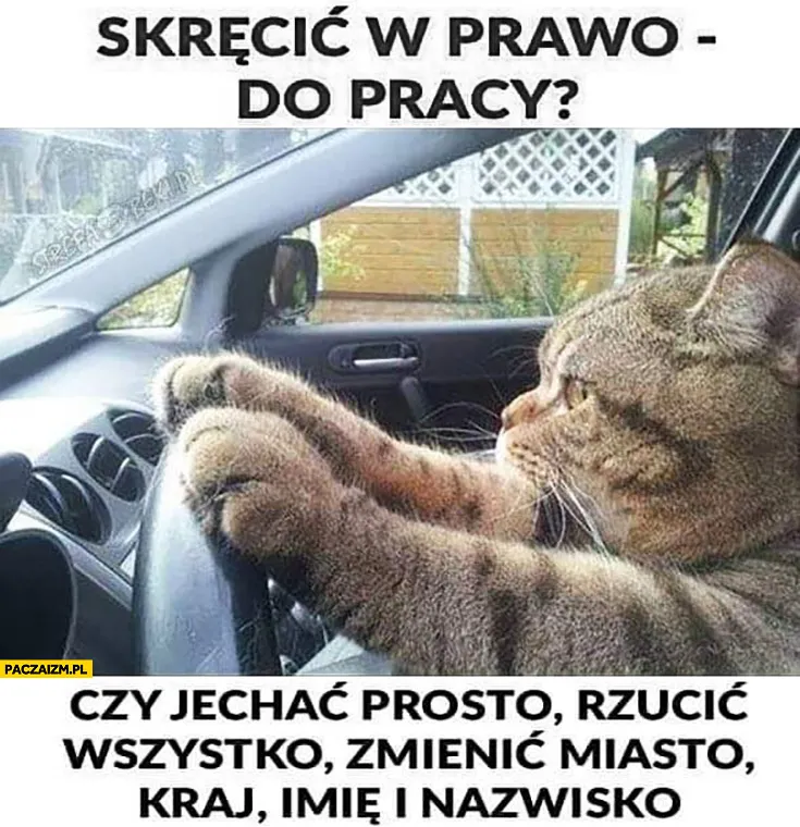 W prawo?