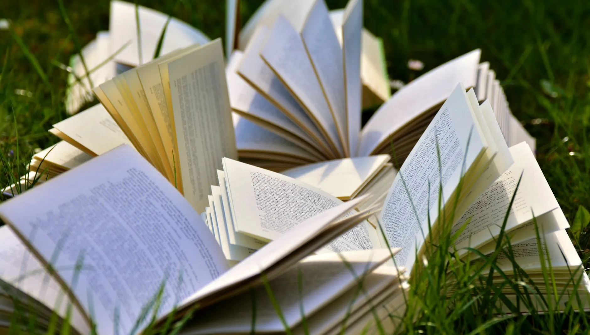 Literacki piknik Biblioteki Narodowej