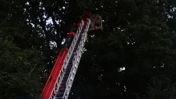 Ksiądz-paralotniarz wylądował... na drzewie