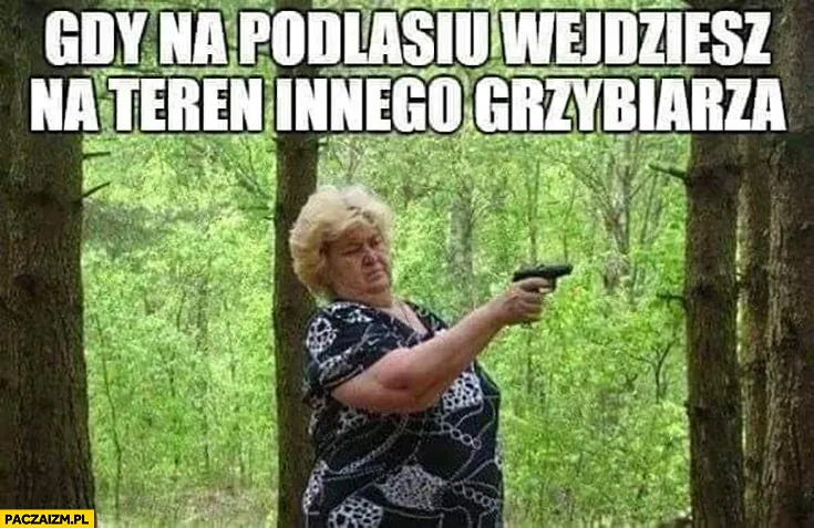 To mój teren