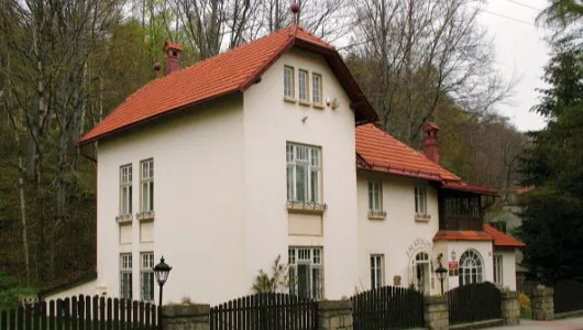 Są chętni do wyremontowania domu malarza