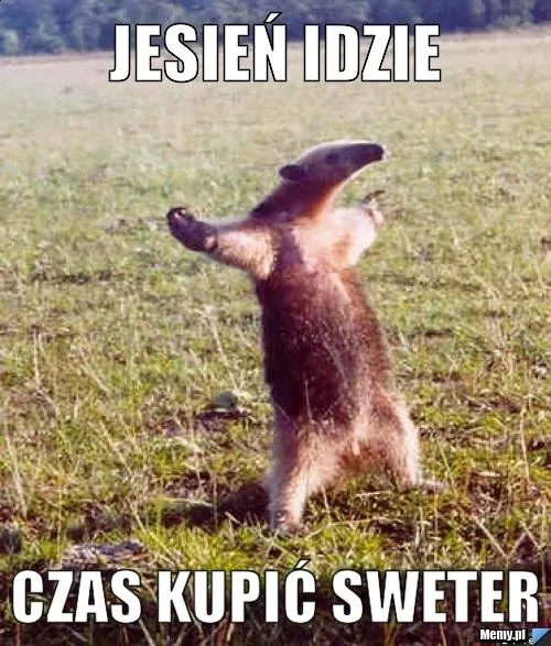 Jesień idzie