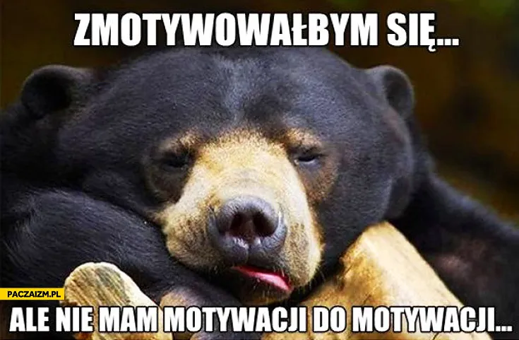 Zmotywowałbym się...