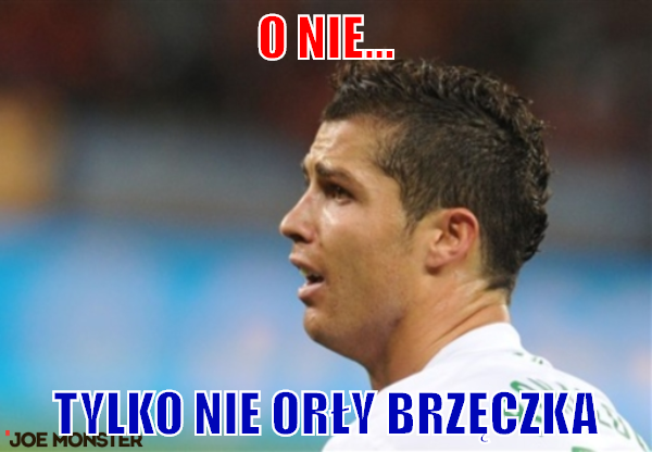 Orły Brzęczka