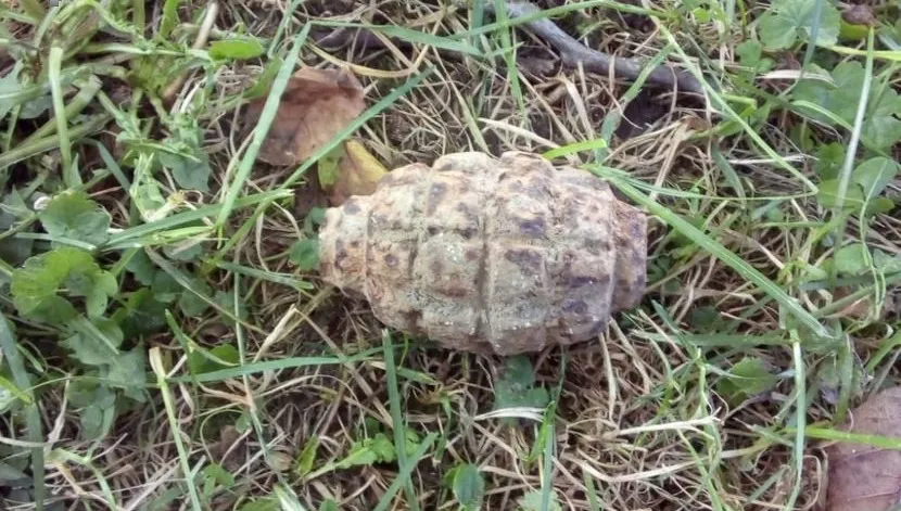 10-latek przyniósł do domu granat