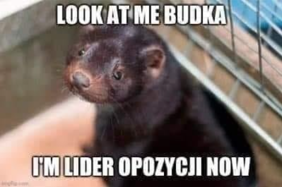 Look at me Budka