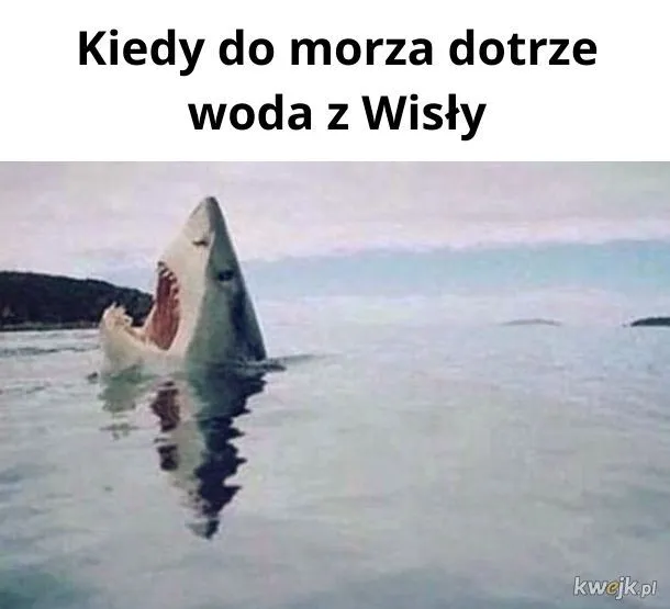 Woda z Wisły